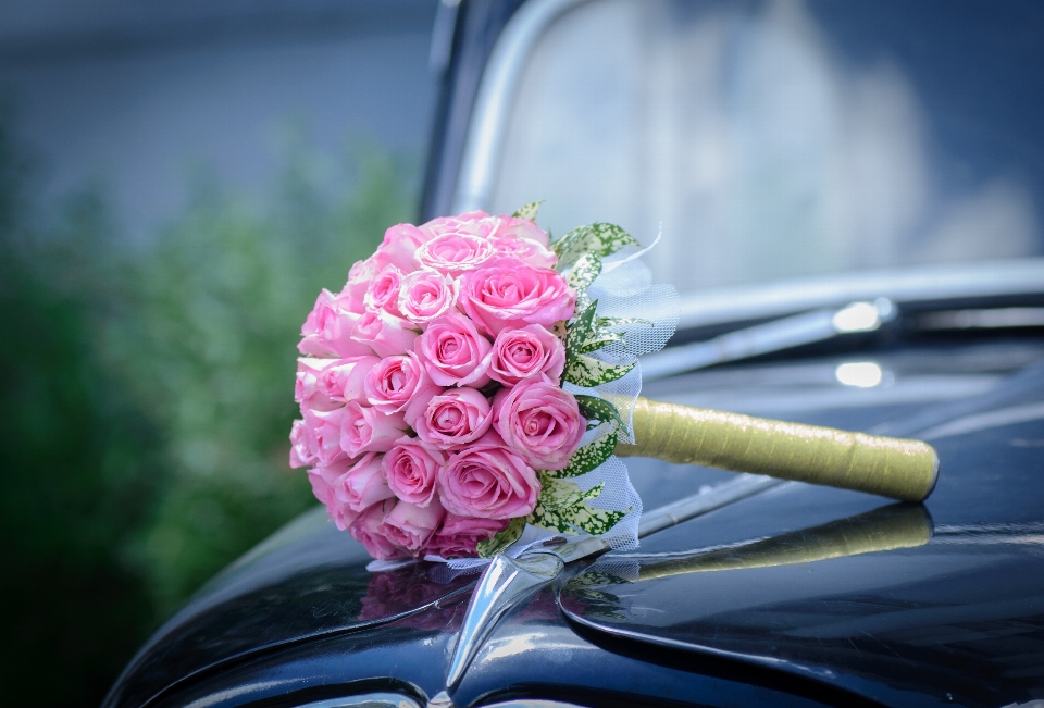 Hochzeitsblumen
 hochzeit schöne blume
 verlobt
