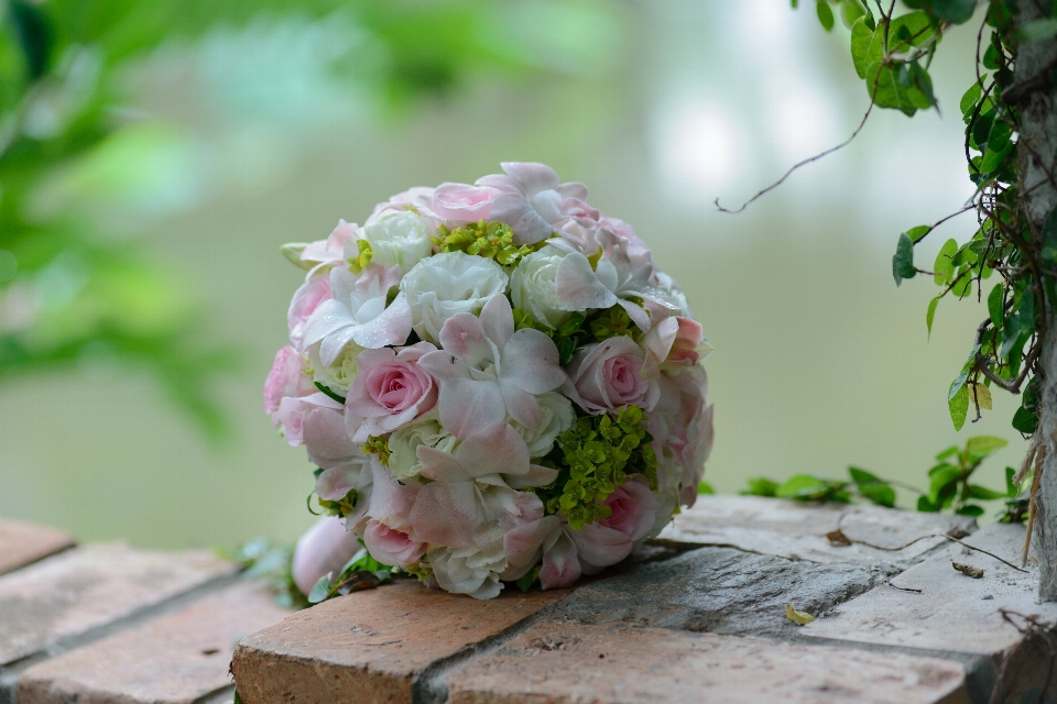 Fleurs de mariage
 mariage belle fleur
 fiancé
