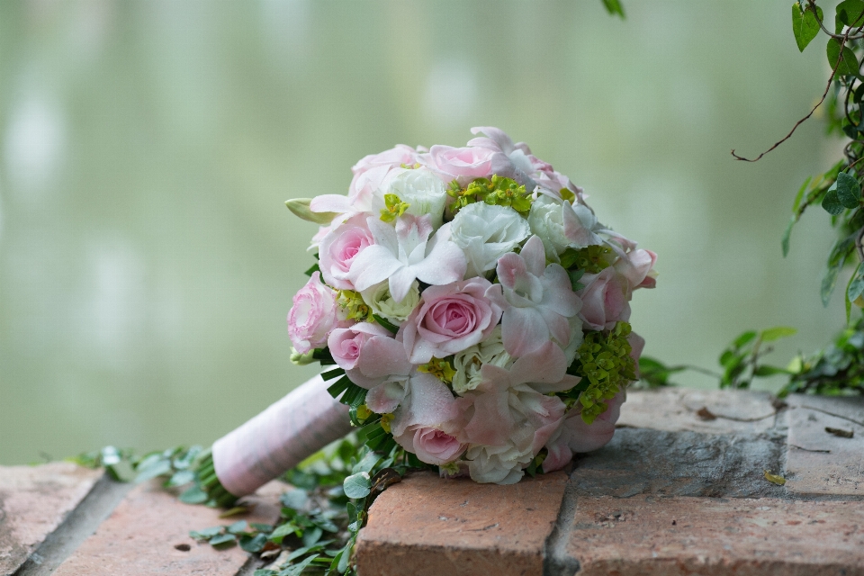 Fleurs de mariage
 mariage belle fleur
 fiancé
