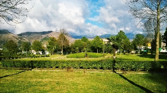 Abbottabad
 grün bäume natur Foto