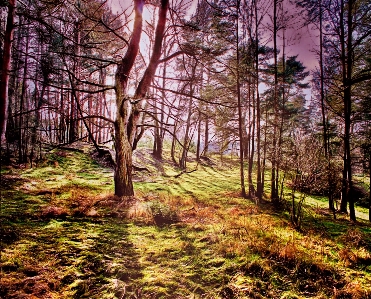 Summer sun sunbeam spring landscape Photo