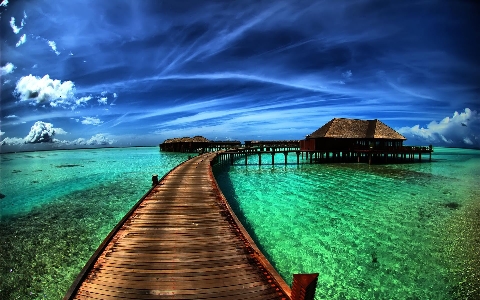 Maldives beach nature sea Photo