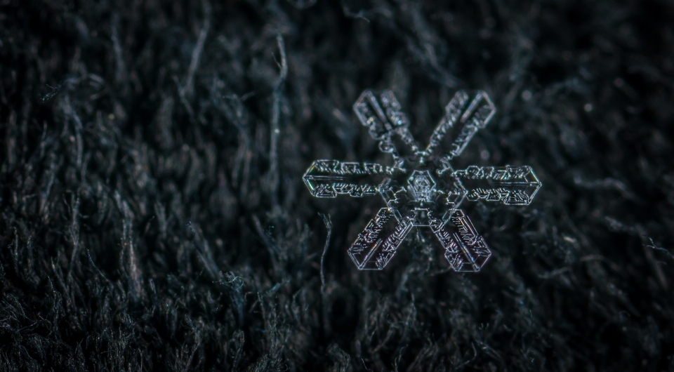 Schnee makro schneeflocke schwarz