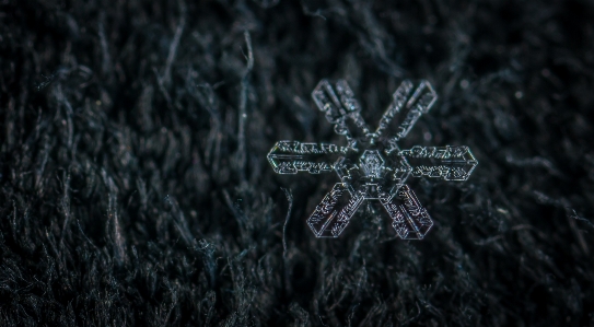 Snow macro snowflake black Photo