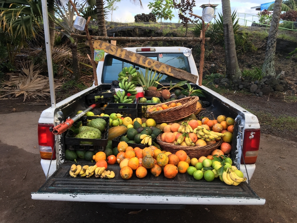 Frutta camion arance limone