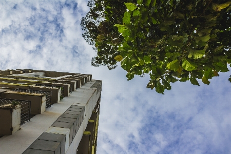 Architecture background beautiful blue Photo