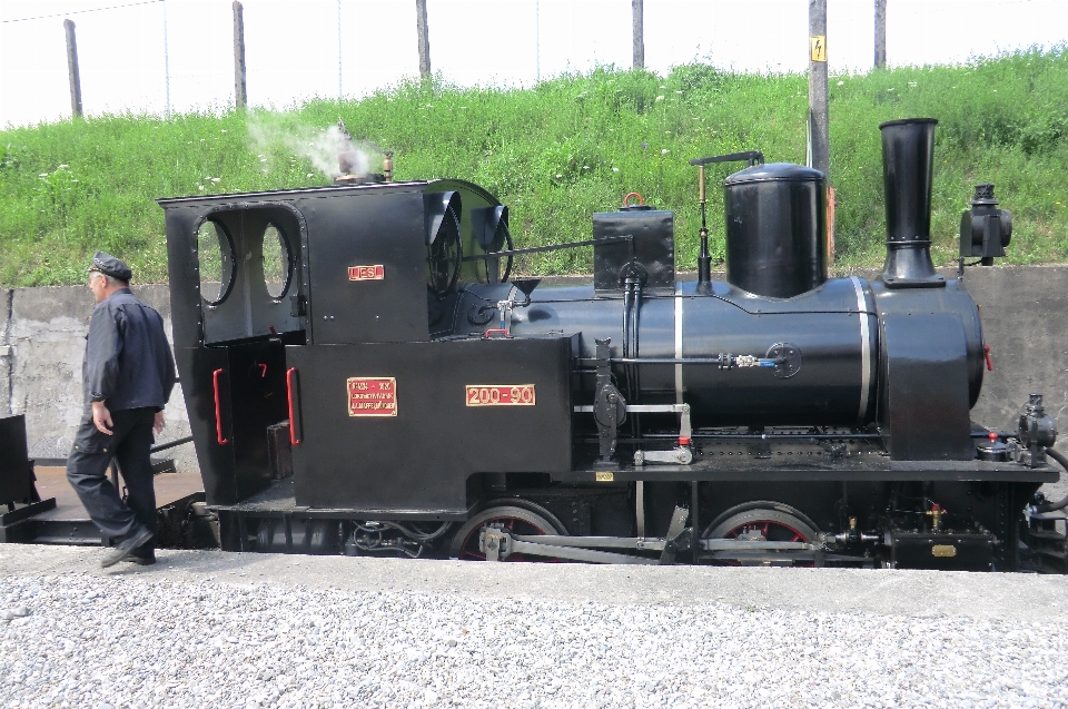 Locomotiva treno a vapore
 svizzero trasporto