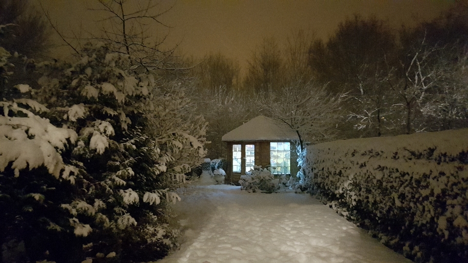 Casa jardín nieve invierno