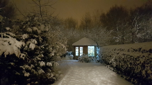 House garden snow winter Photo