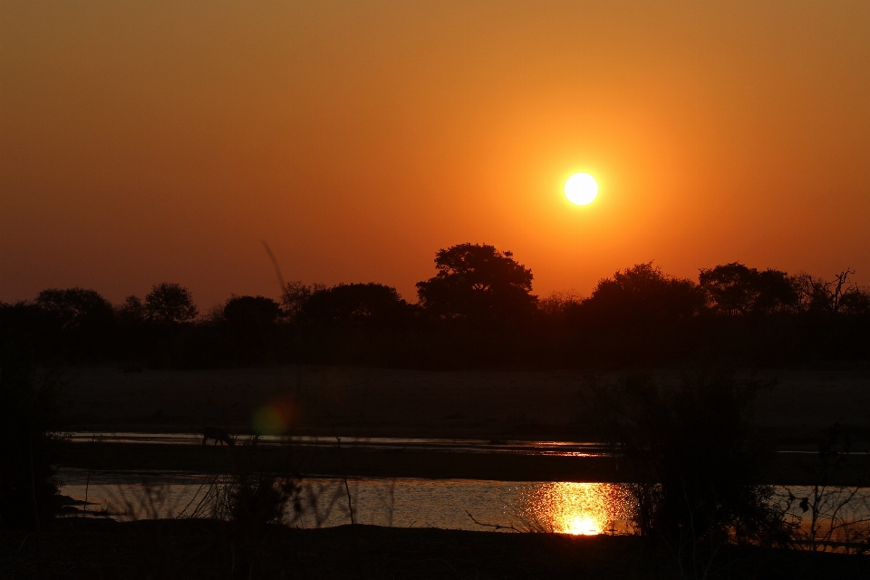 Tramonto arancia sud africa parco nazionale kruger
