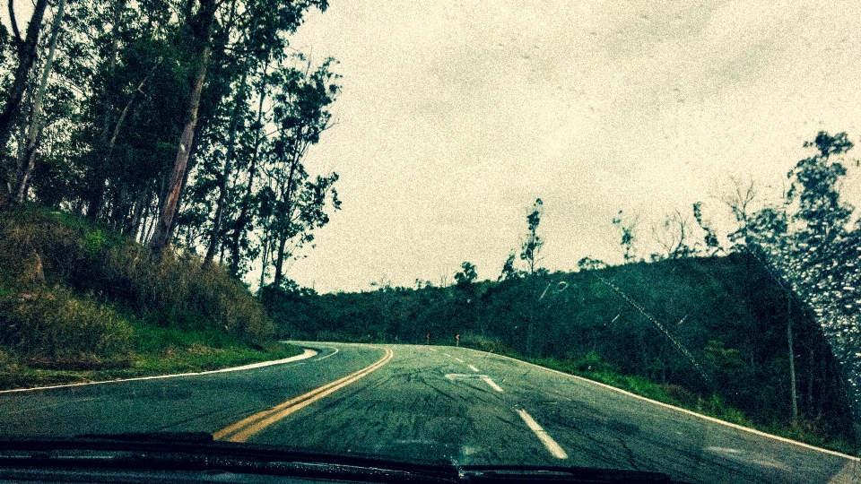 Highway 381 brazil tree sky