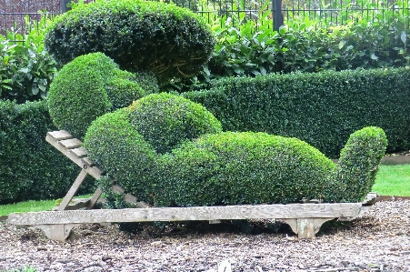 Park belgium buxus durbuy Photo