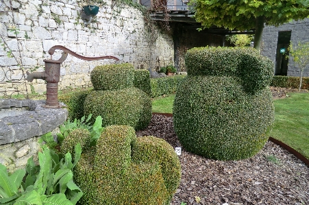 Park belgium durbuy buxus Photo