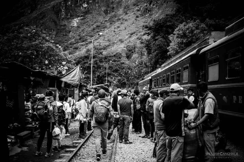 Trem pessoas preto e branco
