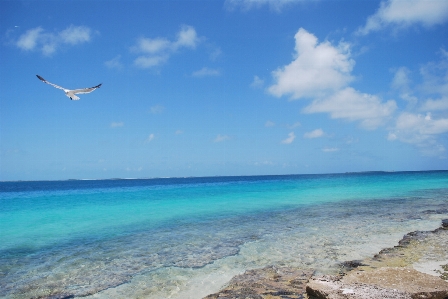 Beach shore caribbean blue Photo