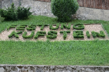 Buxus kufstein austria name Photo