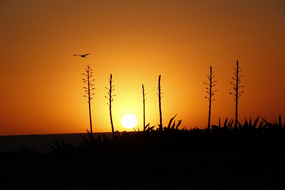 Paysage coucher de soleil ciel lever du