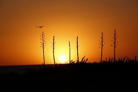 Landscape sunset sky sunrise Photo