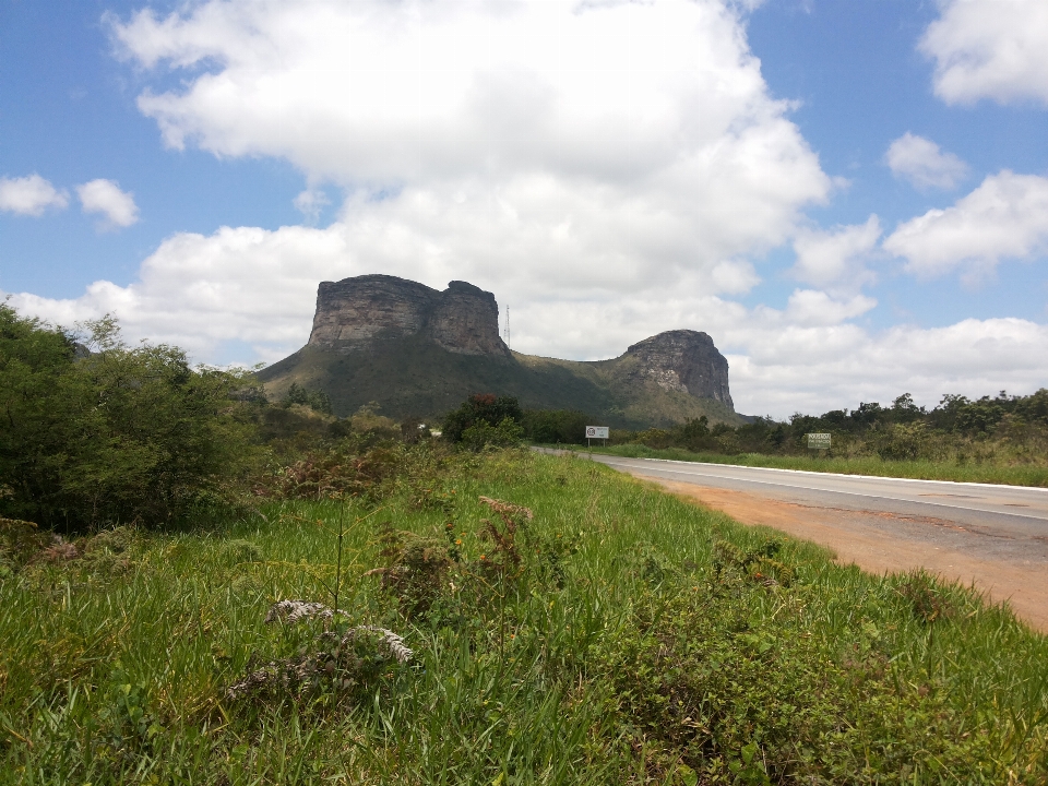 Bahia brazil sky vegetation