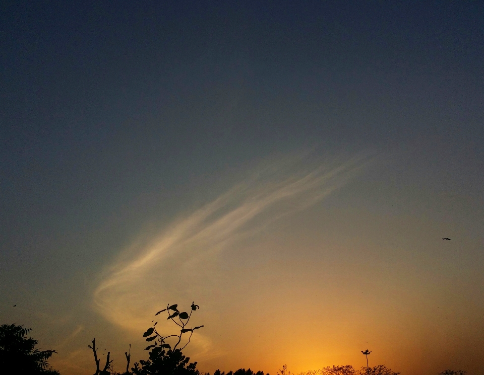 Sunset nature evening landscape