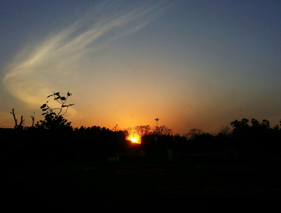 Sunset nature evening landscape