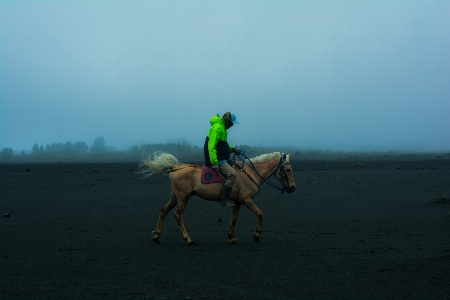 Photo Cheval ciel montagne sable