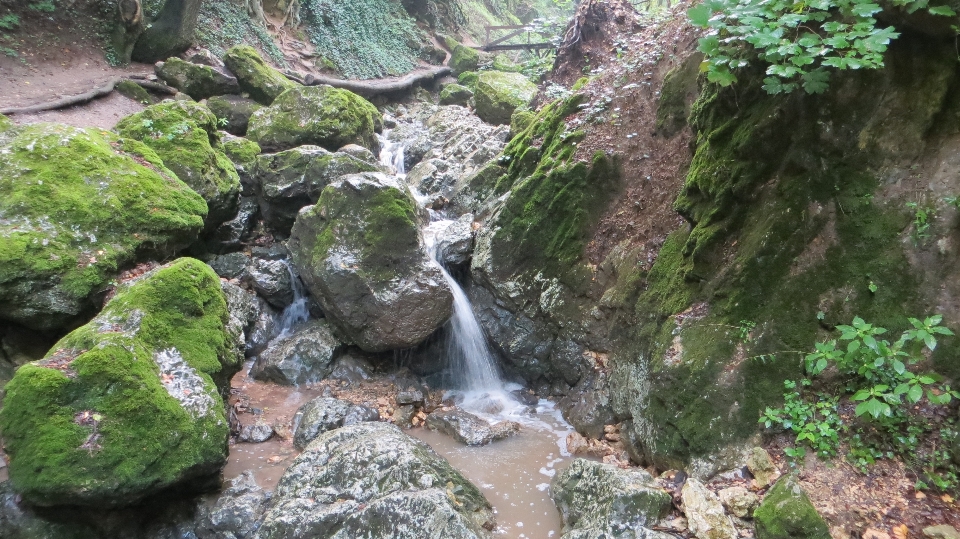 자연 rock 보호 구역
 물줄기
