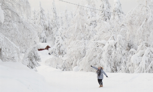 Photo Neige hiver gelé phénomène géologique
