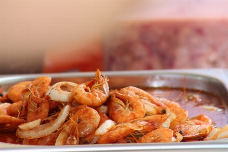 Food shrimp seafood dish Photo