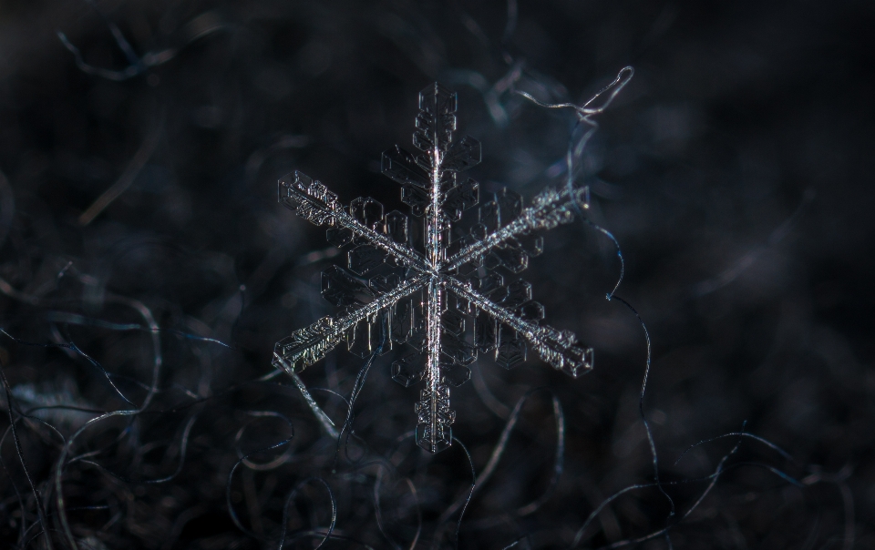 雪 宏观 雪花 自然