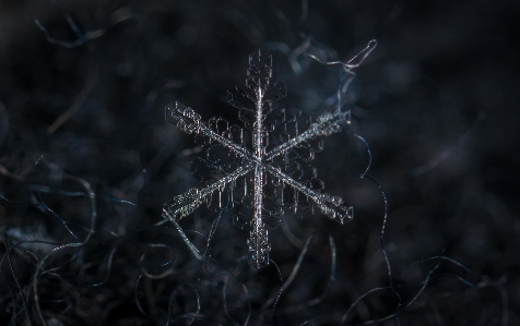 Snow macro snowflake nature Photo