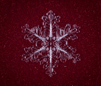 Snow macro snowflake computer wallpaper Photo