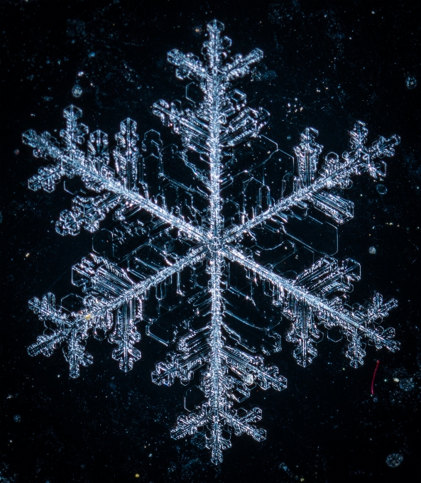 Snow macro snowflake frost