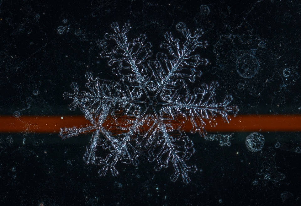 Snow macro snowflake water