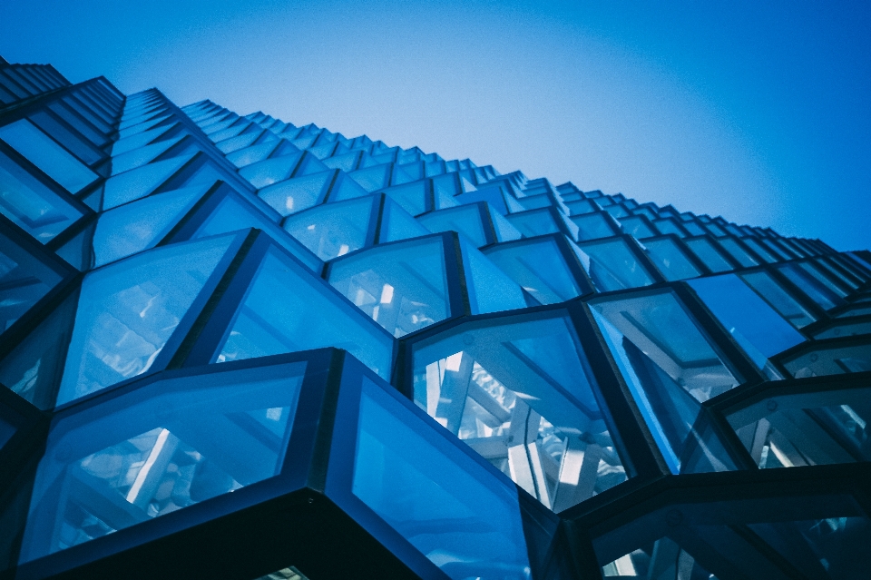 Window windows blue building