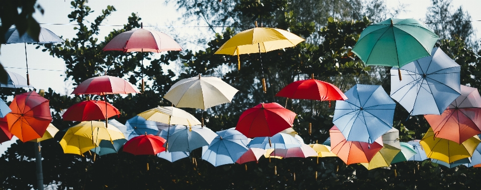 Umbrella color green red