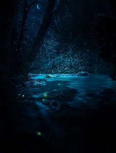 Landscape water nature darkness Photo