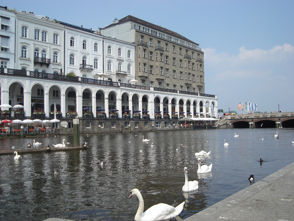 Produk
 hamburg
 danau angsa
