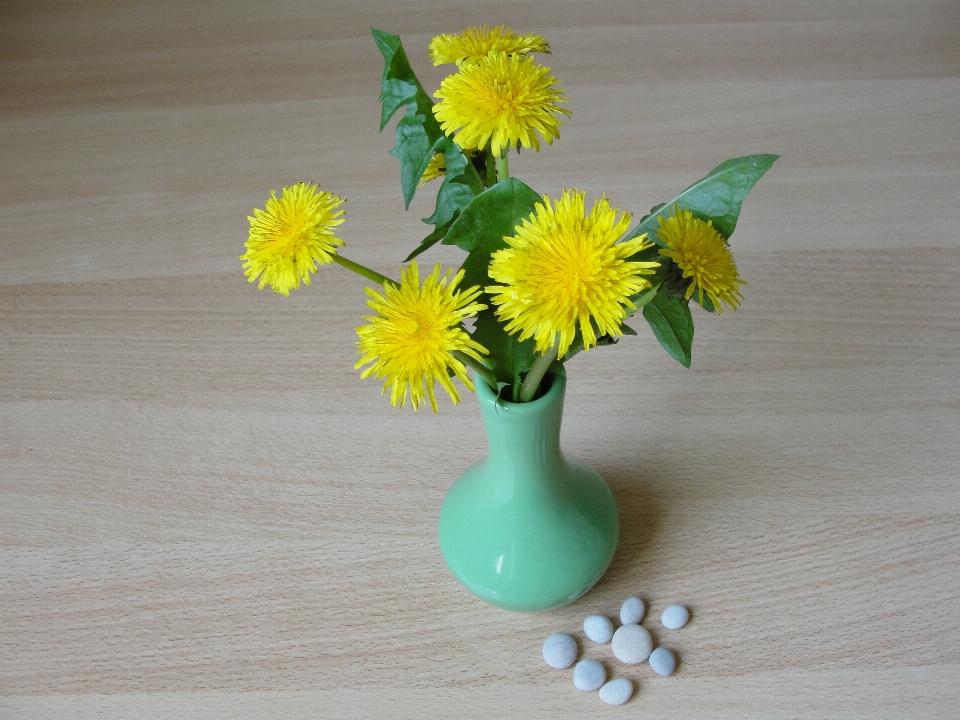 Flor amarelo vaso de flores