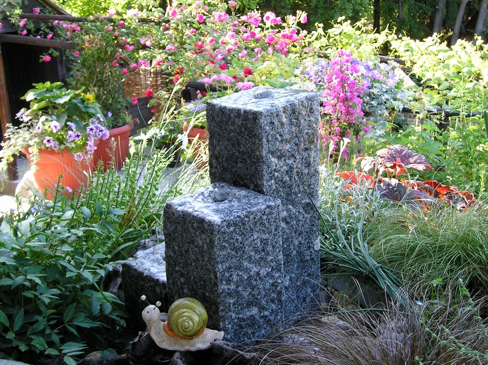 庭の噴水
 花 植物 公園