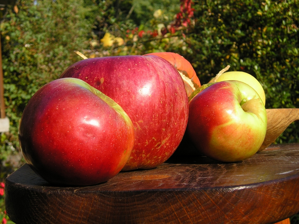 Apples old wooden table fruit