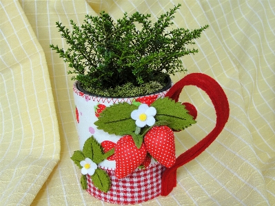 Cup flowers strawberries strawberry Photo