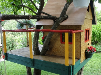 Children house tree furniture Photo