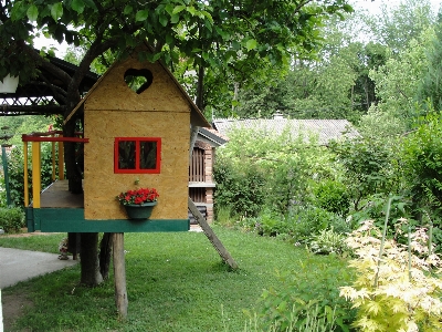 Children house tree plant Photo