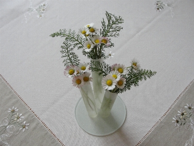 Nature flower floristry vase Photo