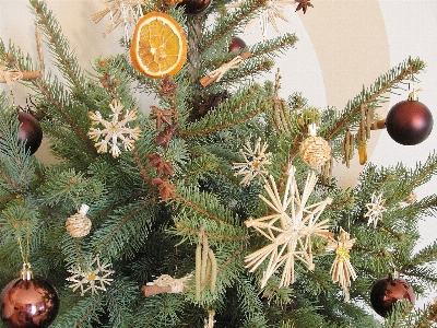 Christmas decoration ornament fir evergreen Photo