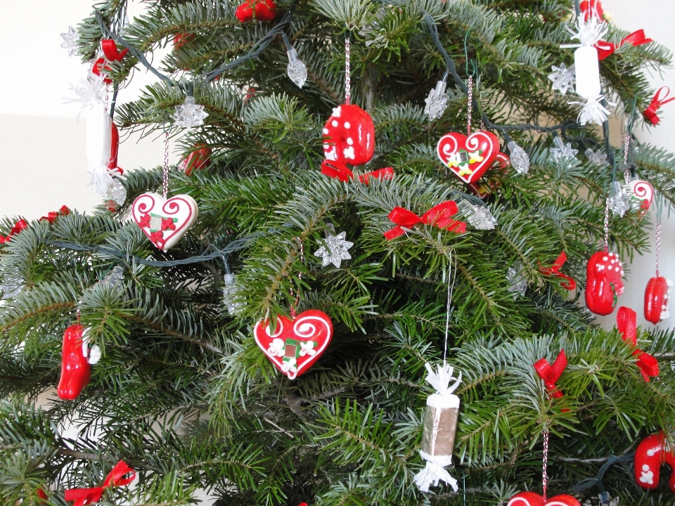 Décoration de noël
 sapin noël arbre