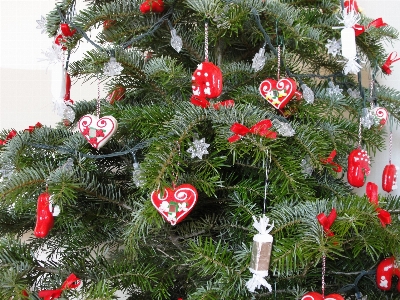 Christmas decoration ornament fir Photo