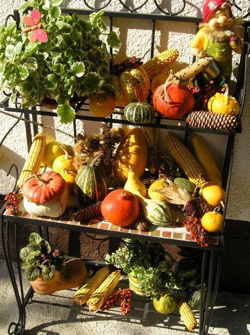 Herbstfrucht
 gemüse produzieren natürliche lebensmittel
