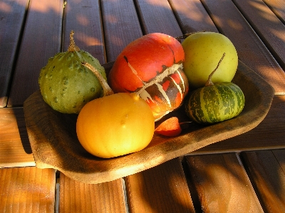 Dekorativ zucchini
 gemüse lokales essen
 Foto